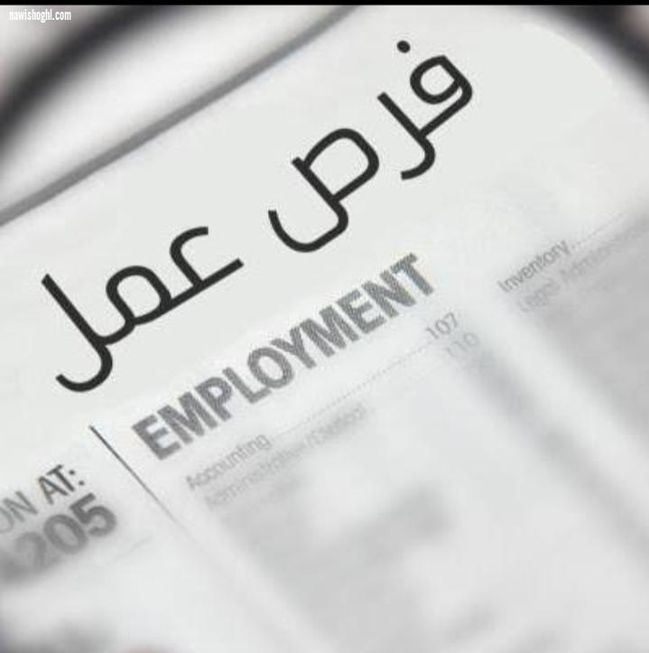 مطلوب مدير جودة لمصنع كرتون بمدينة العبور الثلاثاء 14-4-2020 